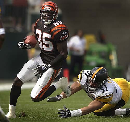 Chad Johnson